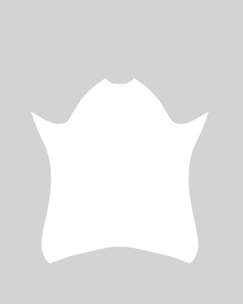 Cycling Jersey Raglan - Pattern Thumbnail